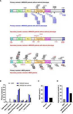 Emerging phenotypes linked to variants in SAMD9 and MIRAGE syndrome